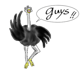 ostrich-Sticker2 sticker #5743101