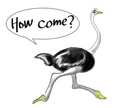 ostrich-Sticker2 sticker #5743103