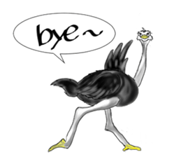 ostrich-Sticker2 sticker #5743104