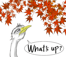 ostrich-Sticker2 sticker #5743122