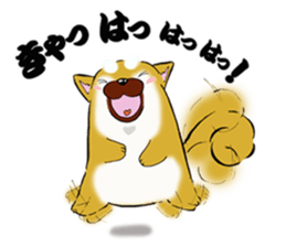 Shiba-Inu KOTAN 2 sticker #5744128