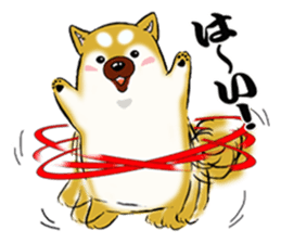 Shiba-Inu KOTAN 2 sticker #5744131