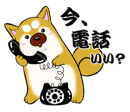 Shiba-Inu KOTAN 2 sticker #5744136
