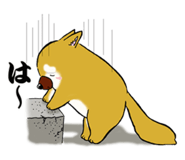Shiba-Inu KOTAN 2 sticker #5744138