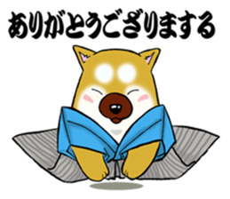 Shiba-Inu KOTAN 2 sticker #5744139