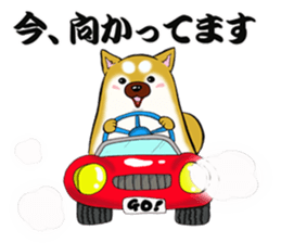 Shiba-Inu KOTAN 2 sticker #5744148