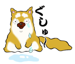 Shiba-Inu KOTAN 2 sticker #5744152