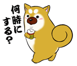 Shiba-Inu KOTAN 2 sticker #5744153