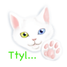 Five Cats sticker #5744487