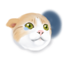 Five Cats sticker #5744511