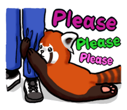 Red Panda "Pandy" sticker #5745248