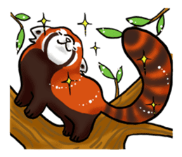 Red Panda "Pandy" sticker #5745251