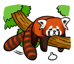 Red Panda "Pandy" sticker #5745253