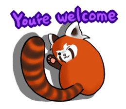 Red Panda "Pandy" sticker #5745276