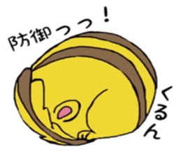 Kotaro of Chipmunk sticker #5745561