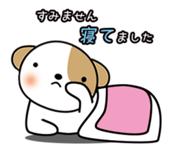 shih-tzu Yama-chan 2 sticker #5750539