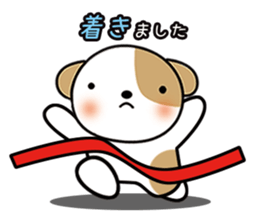 shih-tzu Yama-chan 2 sticker #5750546