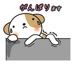 shih-tzu Yama-chan 2 sticker #5750547