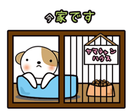 shih-tzu Yama-chan 2 sticker #5750548