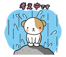 shih-tzu Yama-chan 2 sticker #5750569