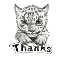 Pencil sketch of an animal sticker #5751973