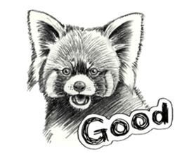 Pencil sketch of an animal sticker #5751979