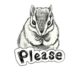 Pencil sketch of an animal sticker #5751980