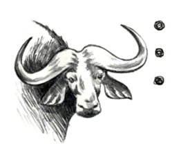 Pencil sketch of an animal sticker #5751986