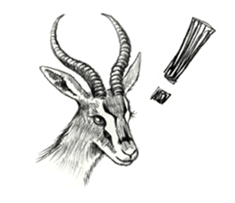 Pencil sketch of an animal sticker #5751994