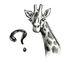 Pencil sketch of an animal sticker #5752008