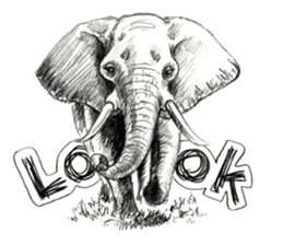 Pencil sketch of an animal sticker #5752009