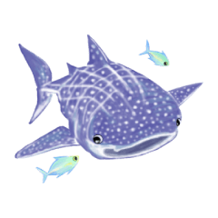 Draw the aquarium with colored pencil