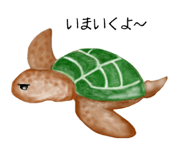 Draw the aquarium with colored pencil sticker #5753254