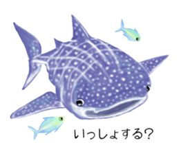 Draw the aquarium with colored pencil sticker #5753262