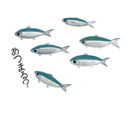 Draw the aquarium with colored pencil sticker #5753264