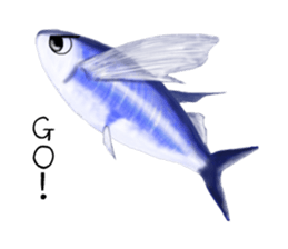 Draw the aquarium with colored pencil sticker #5753283