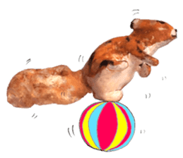 Speecees Fun N Cheeky stickers sticker #5757843