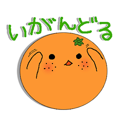 collaborated with yawatahamamarket