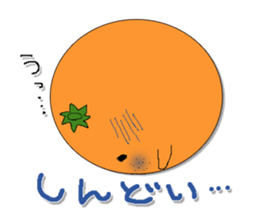 collaborated with yawatahamamarket sticker #5758016