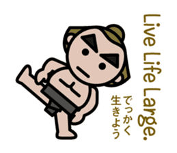 Martial arts in Japan - Budokamen sticker #5758549