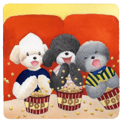 Parti poodle Latte's family & friends