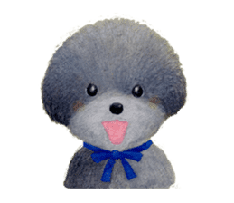 Parti poodle Latte's family & friends sticker #5759092