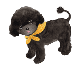 Parti poodle Latte's family & friends sticker #5759093