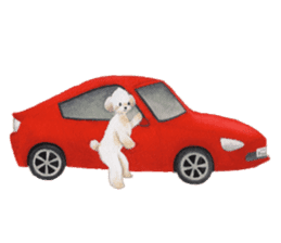 Parti poodle Latte's family & friends sticker #5759104