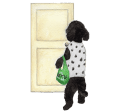 Parti poodle Latte's family & friends sticker #5759108