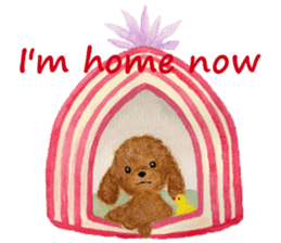 Parti poodle Latte's family & friends sticker #5759109