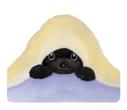 Parti poodle Latte's family & friends sticker #5759121