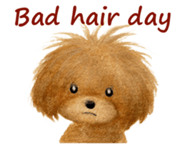 Parti poodle Latte's family & friends sticker #5759122