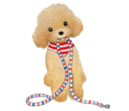 Parti poodle Latte's family & friends sticker #5759124