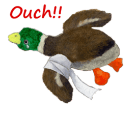 Parti poodle Latte's family & friends sticker #5759126